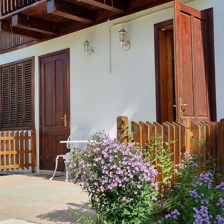 Vila Panselutelor 6 Sinaia Extérieur photo