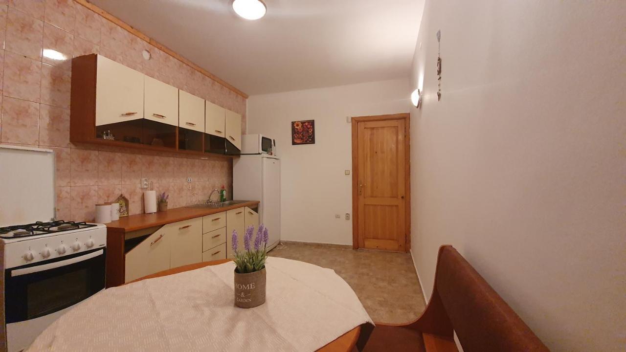 Vila Panselutelor 6 Sinaia Extérieur photo