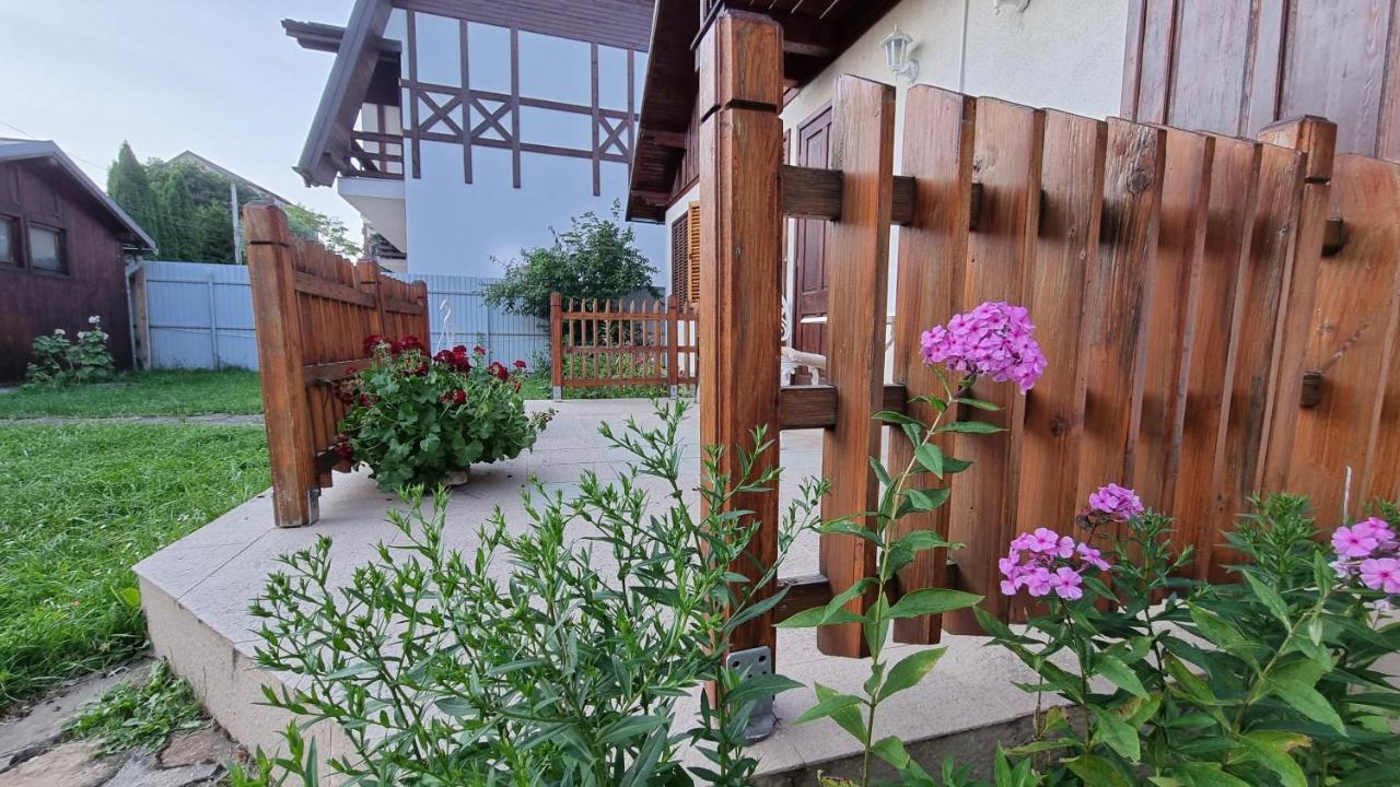 Vila Panselutelor 6 Sinaia Extérieur photo